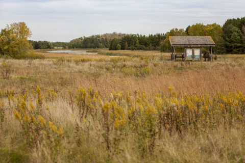 Saint John's Abbey Arboretum